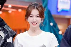 新密开阳村棚改项目融资2000万 计划202