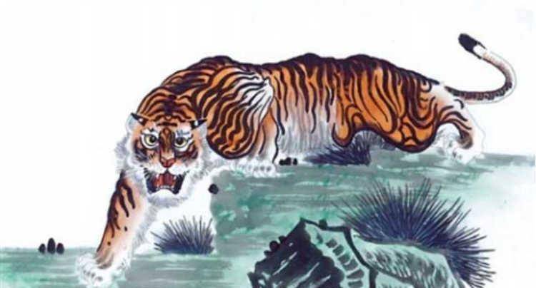 昏天黑地是什么生肖解一个动物生肖，全面解答解释