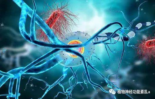 植物神经紊乱患病率高达11%！你竟然还没注意到？