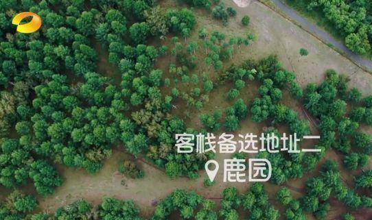 原创客栈开播受好评却暴露一个常识性的问题发现的都是人才(图1)