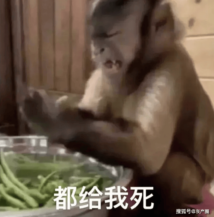 原创上海一高端月子会所突然停摆！退款只退40%！已入住产妇无人照顾