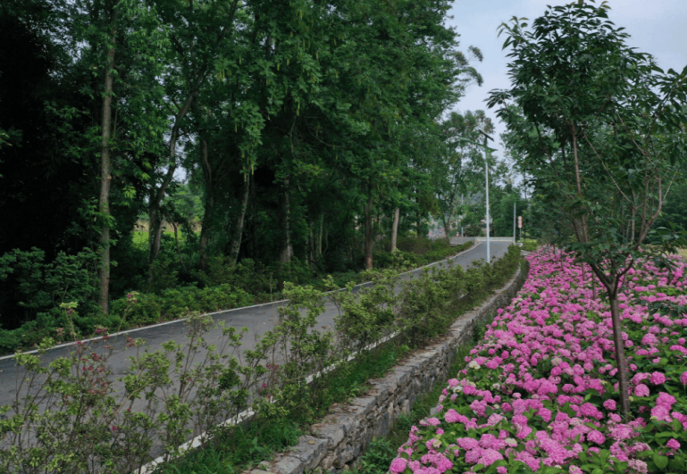 重庆2023年“最美农村路”出炉！来看看你走过哪些路