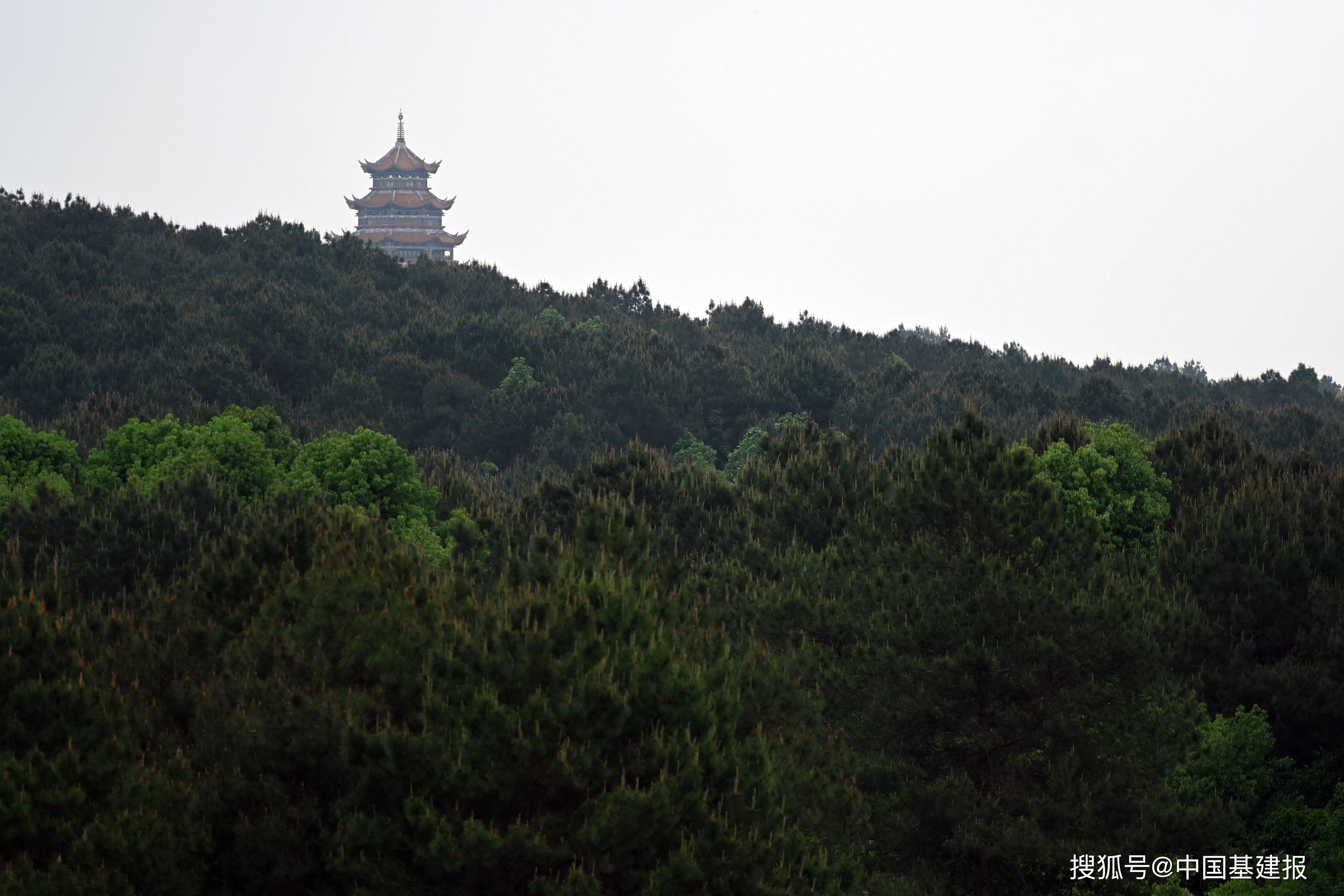重庆铁山坪森林公园美景如画