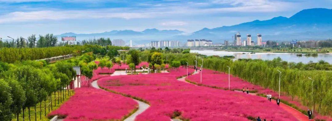 创富宝地 多彩洛宁——​2024年重点招商引资合作项目简介