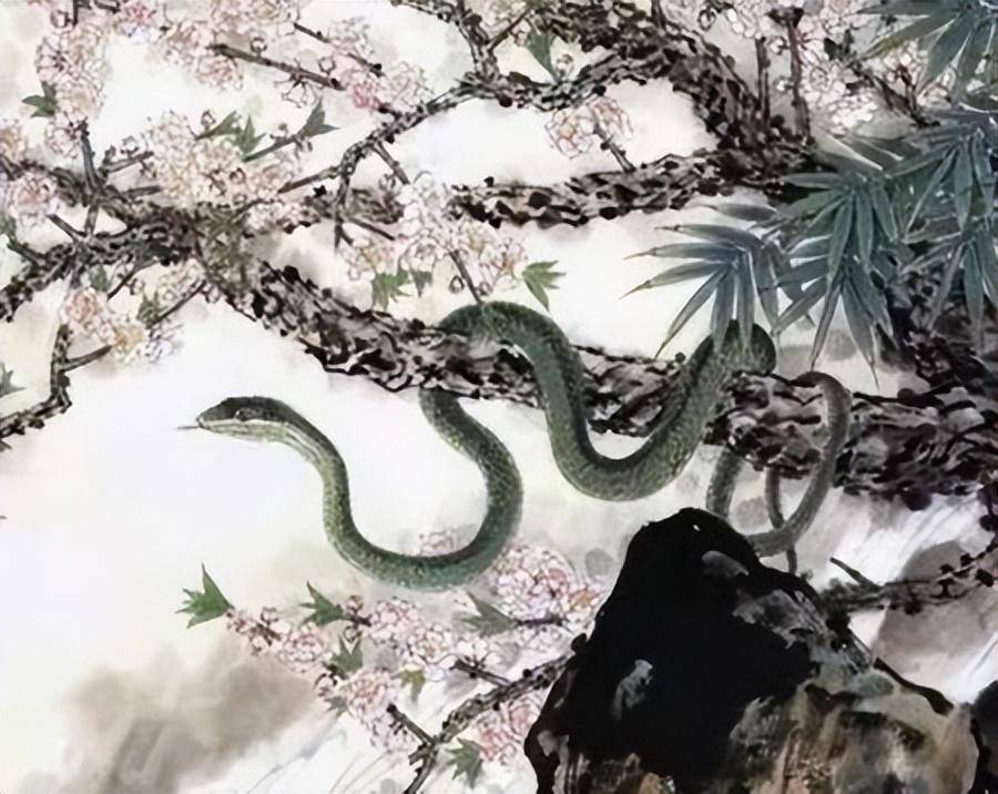 梦回幽境，两条小蛇的温柔守望——解析梦境中的非威胁性蛇意象