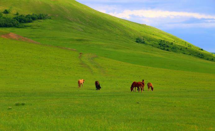 内蒙古旅游一般需要玩几天？去希拉穆仁草原5日游路线及费用