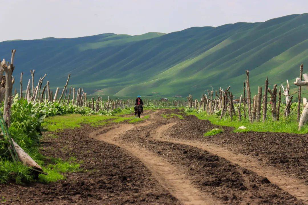 我在新疆伊犁，过着电视剧《我的阿勒泰》一样的牧区生活