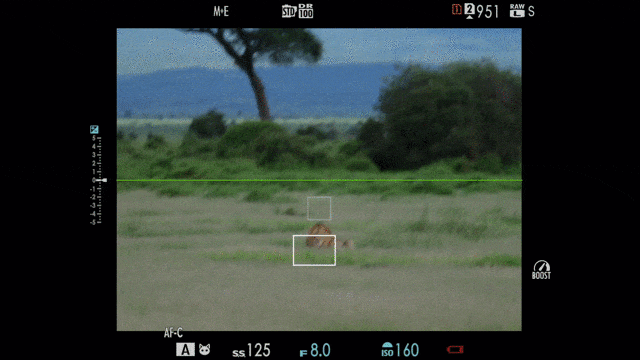 1亿像素高画质+高速智能对焦 富士GFX100S II中画幅行摄非洲