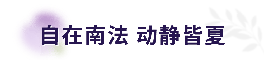 京东【2024欧洲杯投注网网址】-专栏｜音乐何需懂