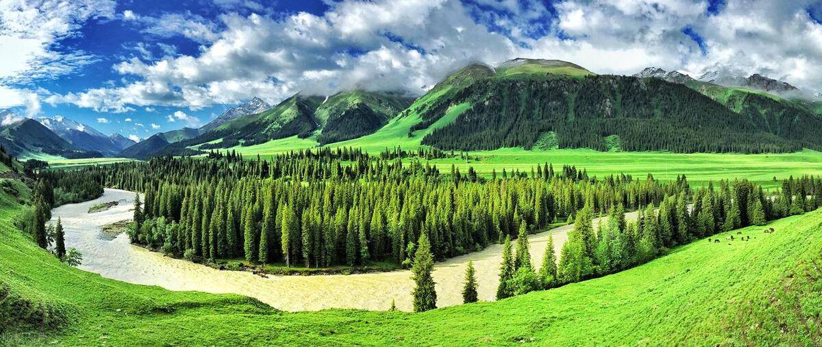国内夏季美景的焦点，新疆伊犁，塞外江南，值得跨越千里奔赴而来