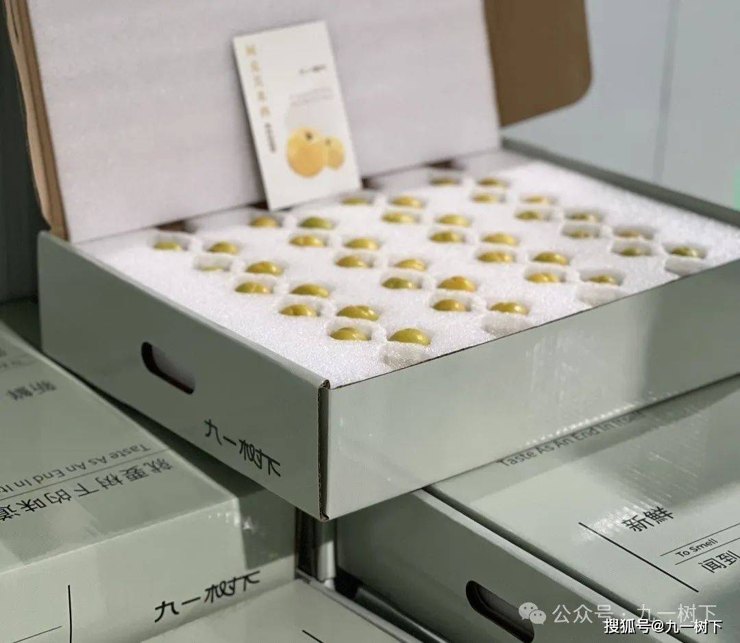 新疆小白杏 |真树熟，尝鲜期仅20天，量少珍贵，想吃还得拼手速！