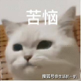 原创广东第一村的“隐形炸弹”，回迁房成“烫手山芋”