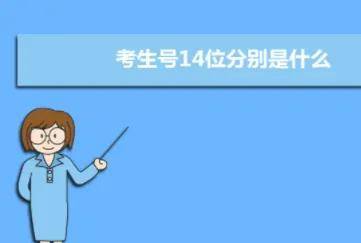 高考14位考生号各代表什么？为什么要保管好？