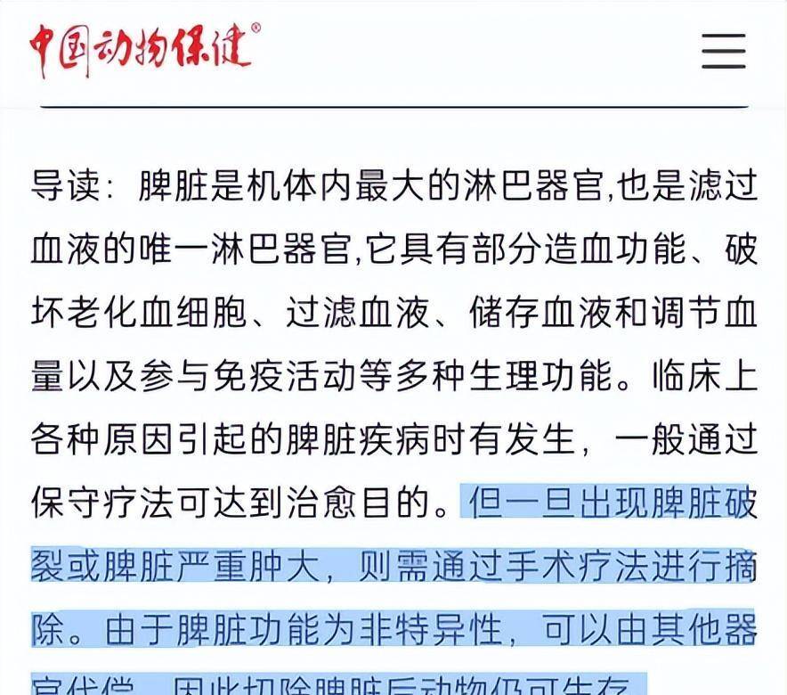 原创 笑爆了!98%的实验犬都是比格?为什么选择比格犬,听听业内人怎么说-实验犬比格犬