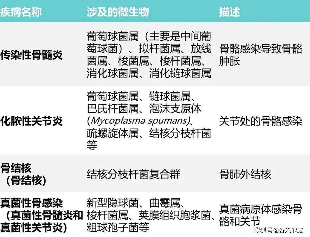 文章配图-11
