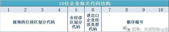 双号并行：优化企业海关注册编码管理的新策略