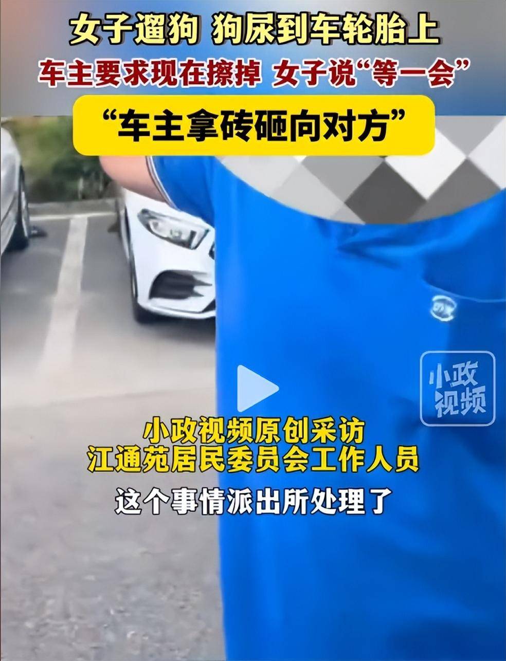 反转!女子遛狗尿轮胎上,被发现后拒绝清理,车主拿砖头砸狗泄愤-狗尿到车轮胎上算命