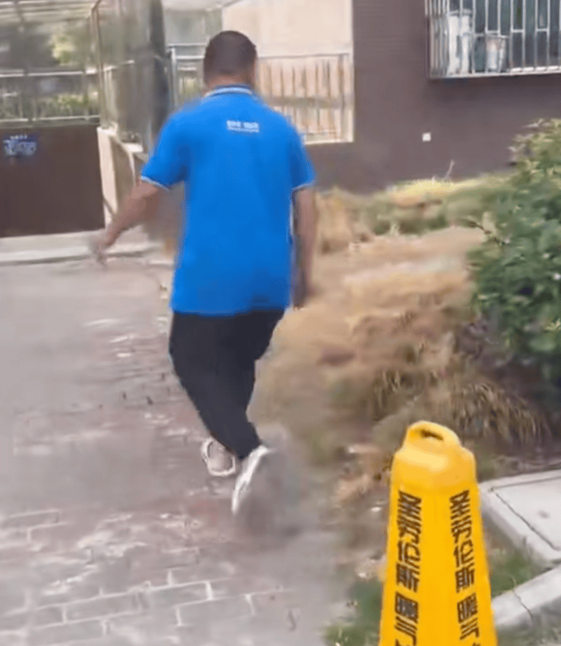 反转!女子遛狗尿轮胎上,被发现后拒绝清理,车主拿砖头砸狗泄愤-狗尿到车轮胎上算命