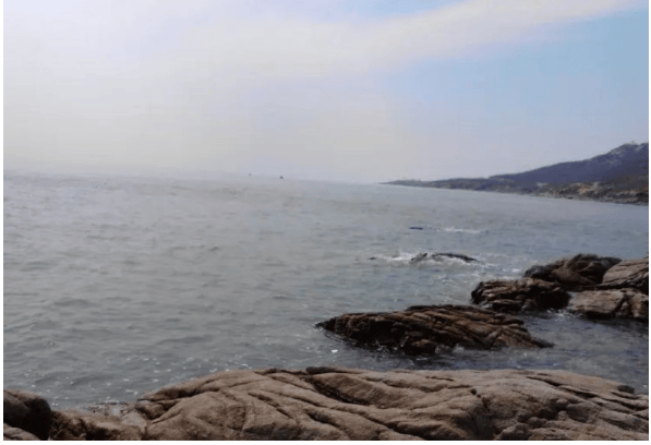 登高远眺：菊花岛最高峰，俯瞰渤海湾壮丽景色