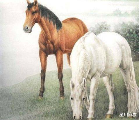 原创
            8月19日—25日，属马、属羊、属猴运势提点，属猴财源广进，契机不断