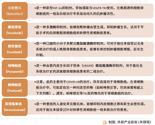 2024年中国透明细胞肾细胞癌药物行业分析(图3)