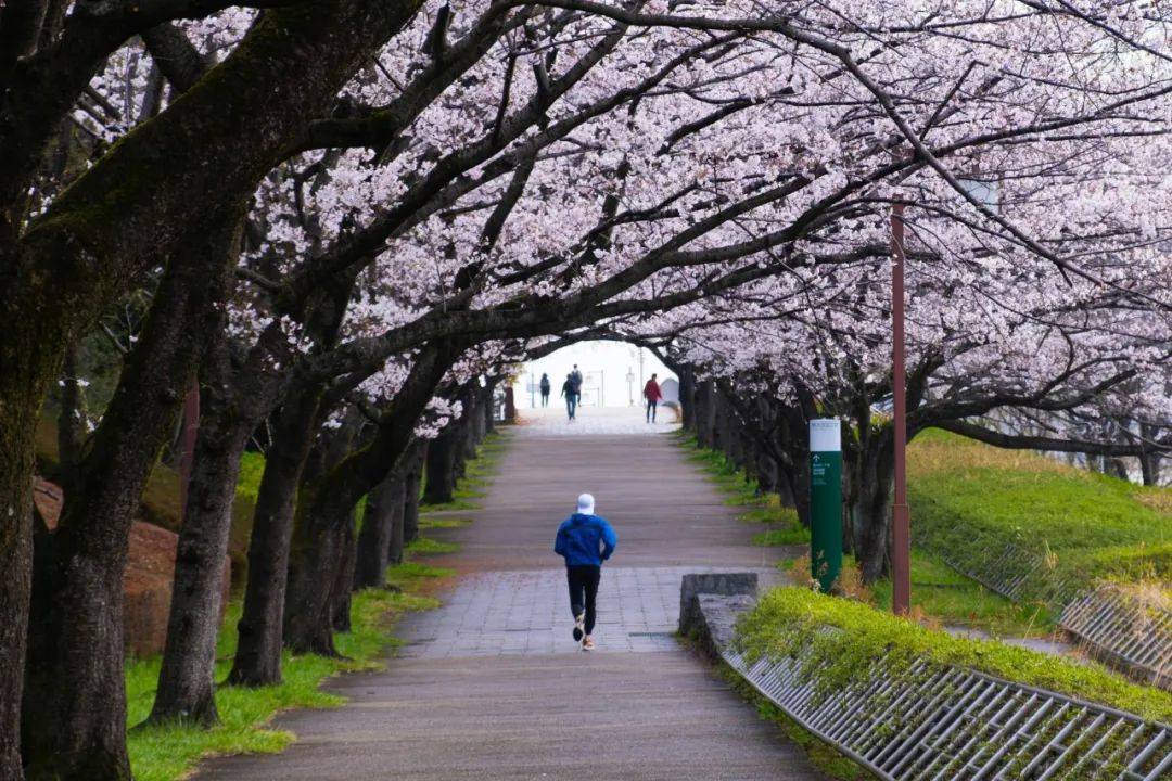 求是网 🌸7777888888管家婆中特🌸|民生健康（301507）9月10日主力资金净卖出506.75万元  第2张