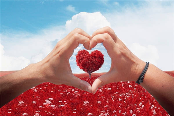 原创
            属狗和属猴的合不合