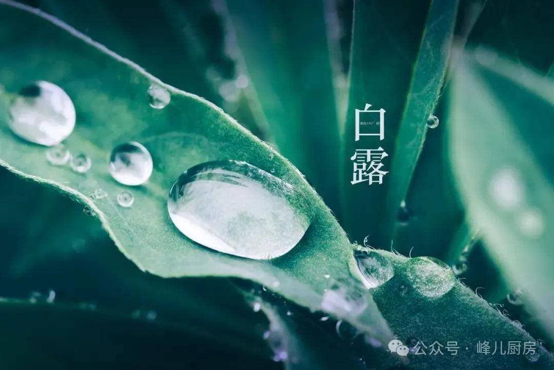 🌸中国妇女网 【4777777最快香港开码】|国家卫生健康委员会印发居民体重管理核心知识（2024年版）  第3张