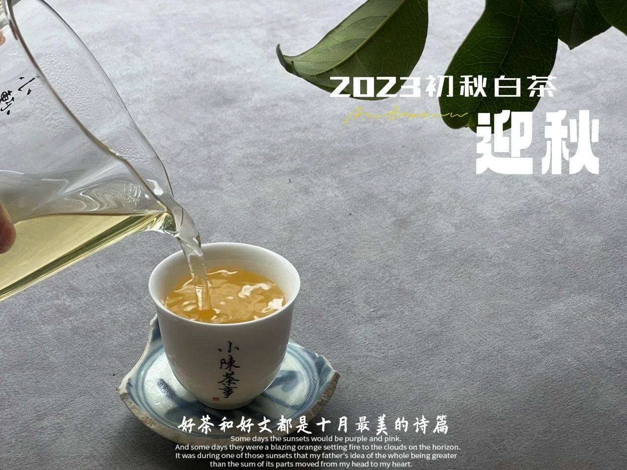 原创
            绿茶、红茶、白茶，无论是什么茶叶，泡茶水温要根据季节变化吗？-第5张图片-福建名茶