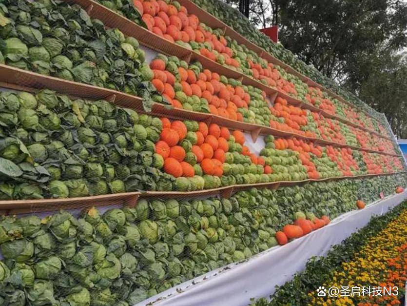 山东各地迎来丰收季-又是一年秋收时!齐鲁大地,谷熟、果香……-山东秋天收什么农作物