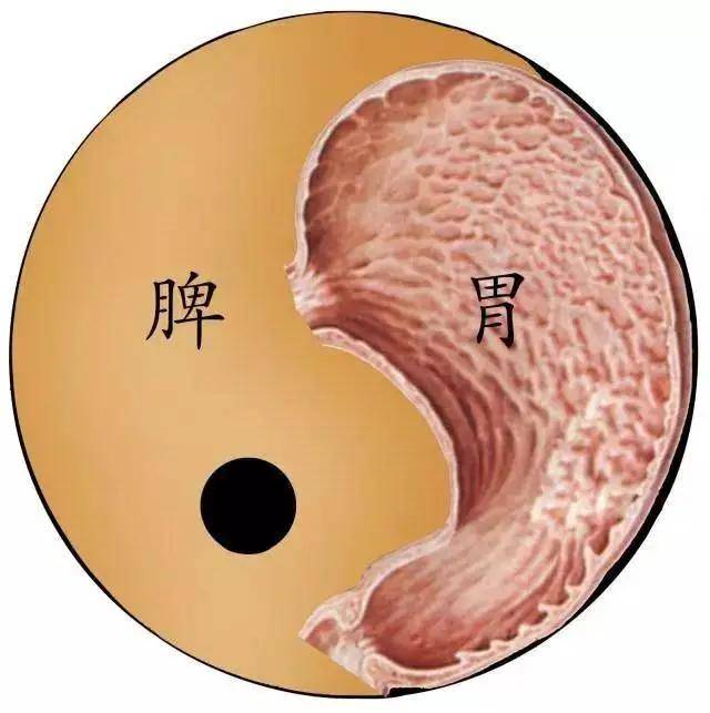 脾胃虚弱该如何调理？怎么判断要看这几点