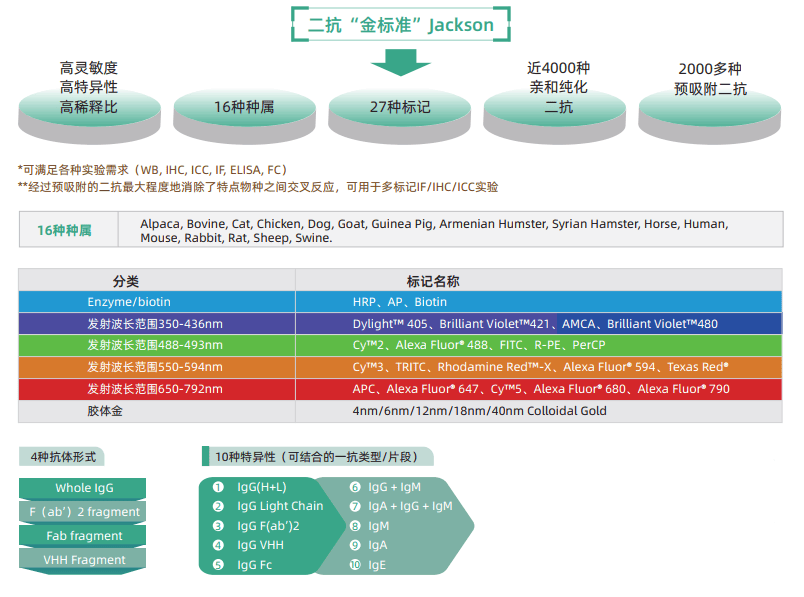 什么是一抗，二抗，内参抗体，标签抗体？(图1)