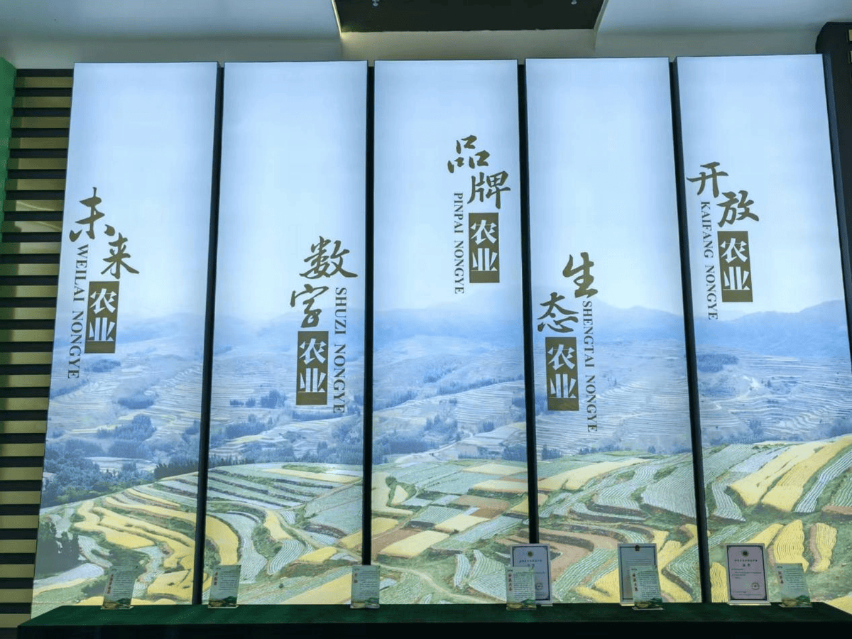 潍坊再蹚农业农村综合改革新路子