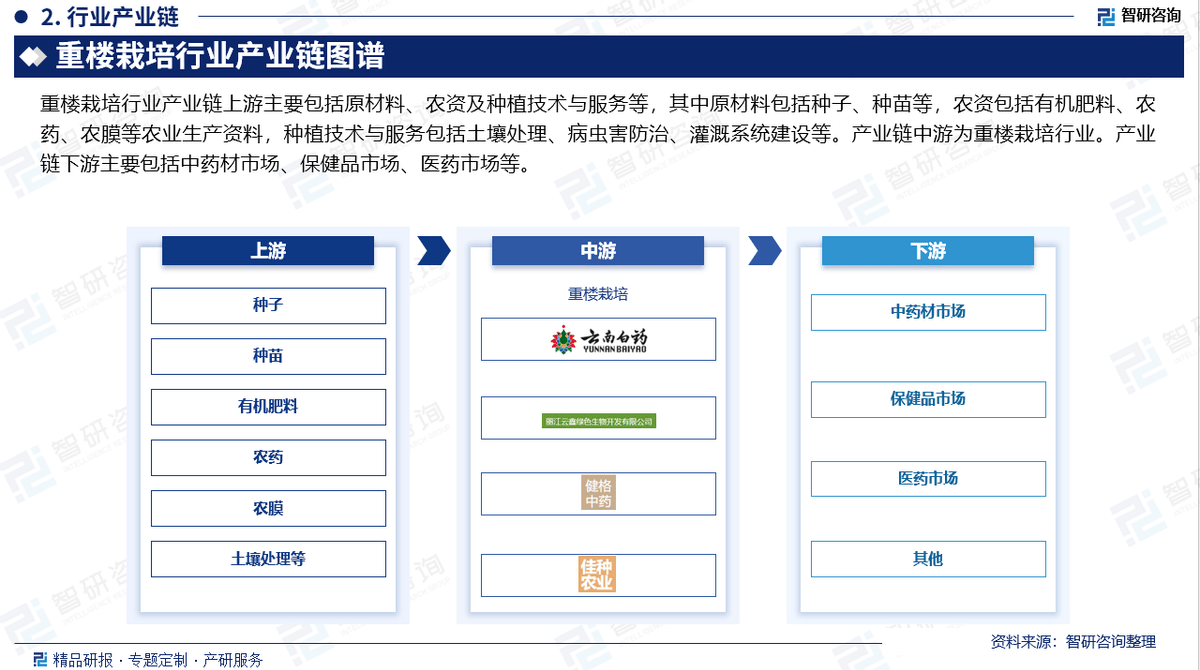 2025版重楼栽培行业发展现状及市场全景评估必赢网址报告（智研咨询发布）(图3)