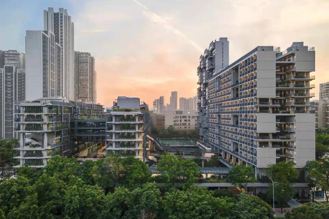 深国交华附碧桂园领衔2025HKPEP广东地区上榜TOP10国际学校星空体育APP(图2)