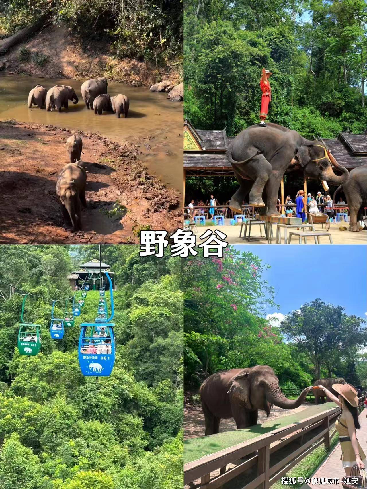 杏彩体育官网登录全家一起去云南旅行四天费用昆明4日游经典路线