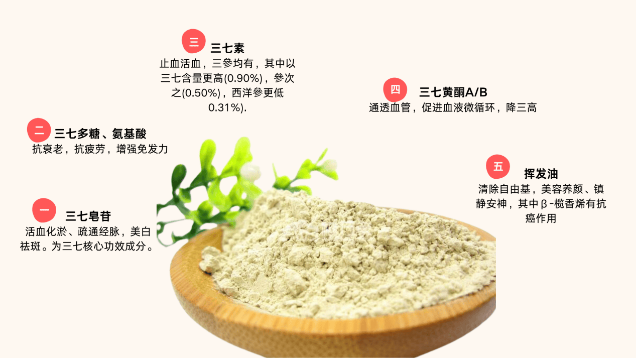 三七粉的作用与功能主治，不仅仅是滋补那么简单！