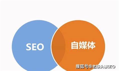 新手seo实战指南从入门到精通的全攻略