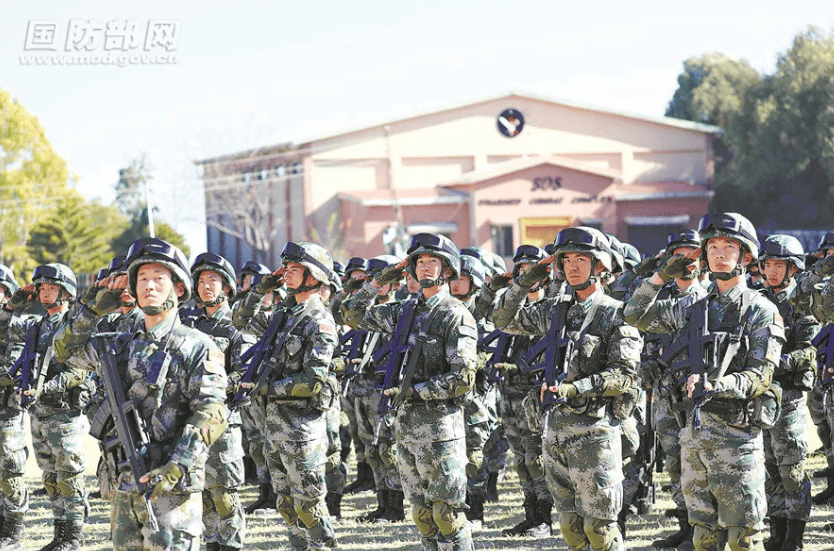 金燦榮：電詐集團太猖狂！必要時派解放軍消滅！