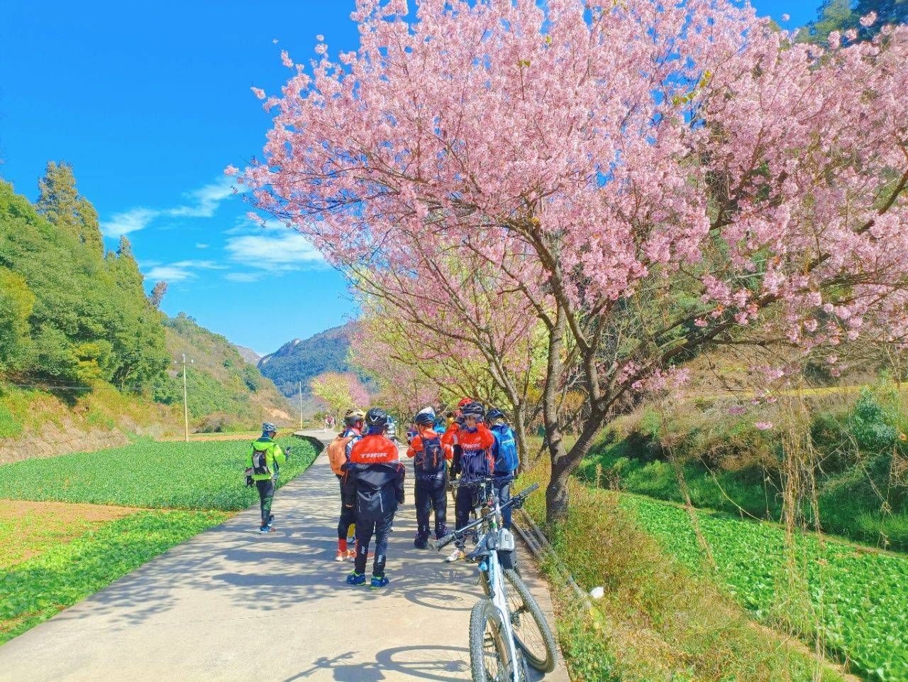 骑行：认同感与自由的深度较量(图7)