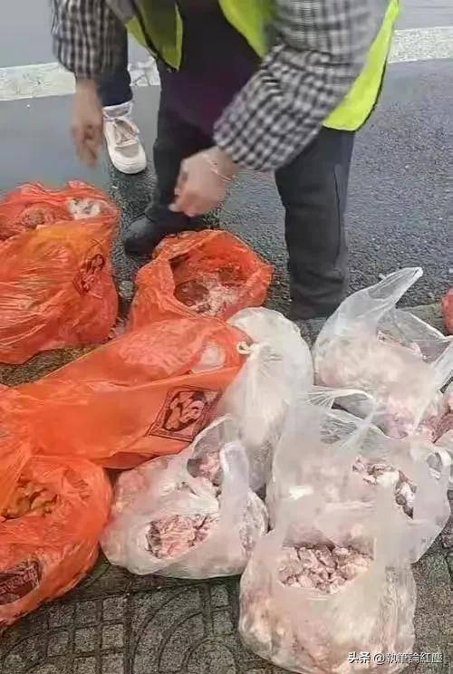 欧博体育平台女子把父母装在车后备箱里的年货扔在服务区垃圾箱旁当事人回应(图3)