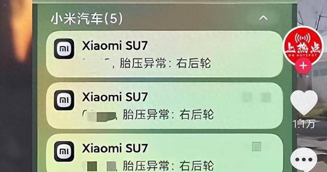 开云全站服务区车胎被划诈补后续：哨兵模式曝光细节60岁嫌疑人已被刑拘(图2)