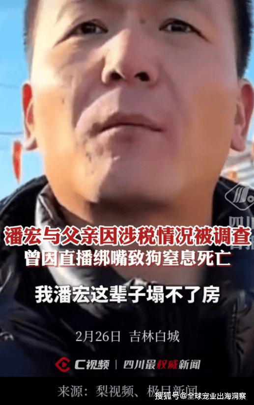 潘宏“塌方”名下宠物企业注销合作宠物品牌受牵连恒峰娱乐下载(图12)