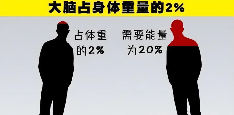 原创             世界上本来没有人，那么第一个人是怎么来的？