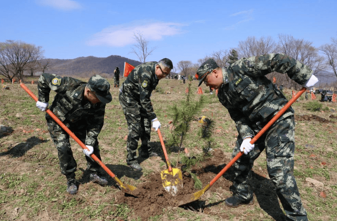 必赢app春风催新绿 植树正当时——龙江森工集团第四个“4•20”森工植树日活动启动(图1)