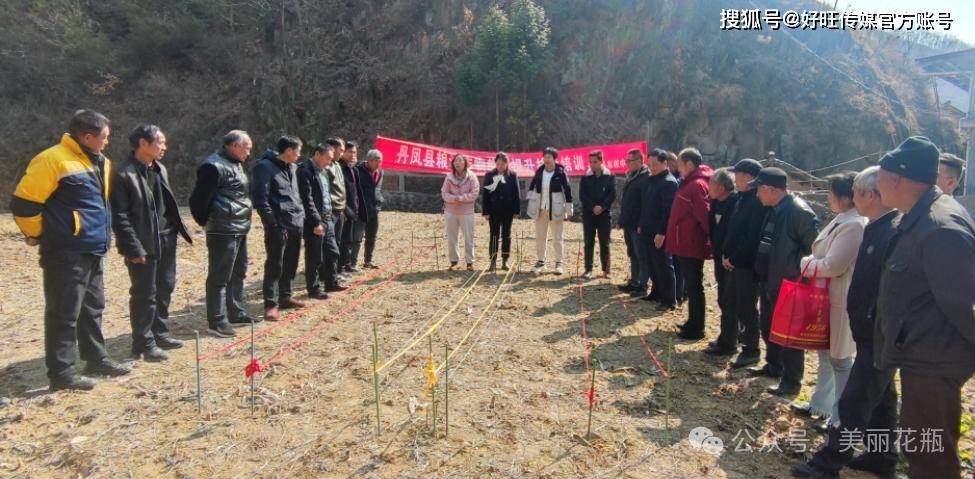 丹凤县花瓶子镇组织开展粮油作物高产栽培技术培训(图2)