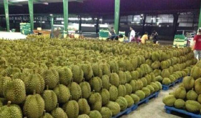 中国买下巴基斯坦上万吨水果 遭开云体育官网到越南质问： 凭啥不买我们的？(图5)