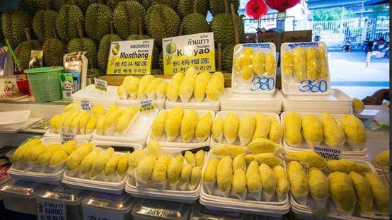 开云体育登录25000亩国产榴莲熟了进口价格暴跌30%泰国急了：1600吨运往中国