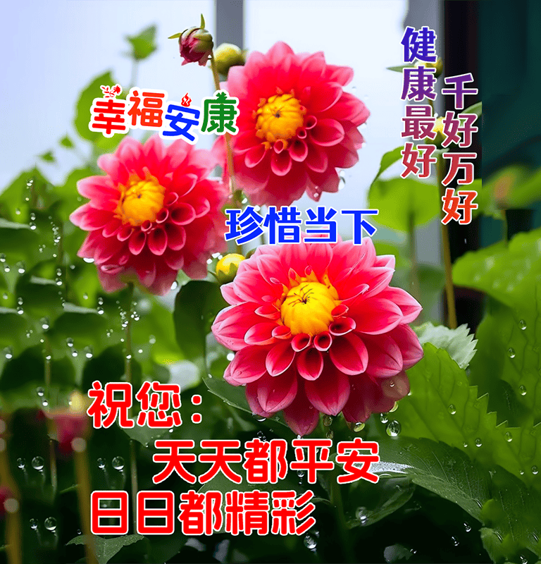 今日最新漂亮的早上好图片祝福，最真的牵挂，永远的祝福！