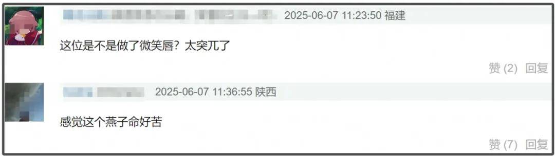 新版小燕子路透曝光！审美降级苦相又土气，还不如老版丫鬟亮眼